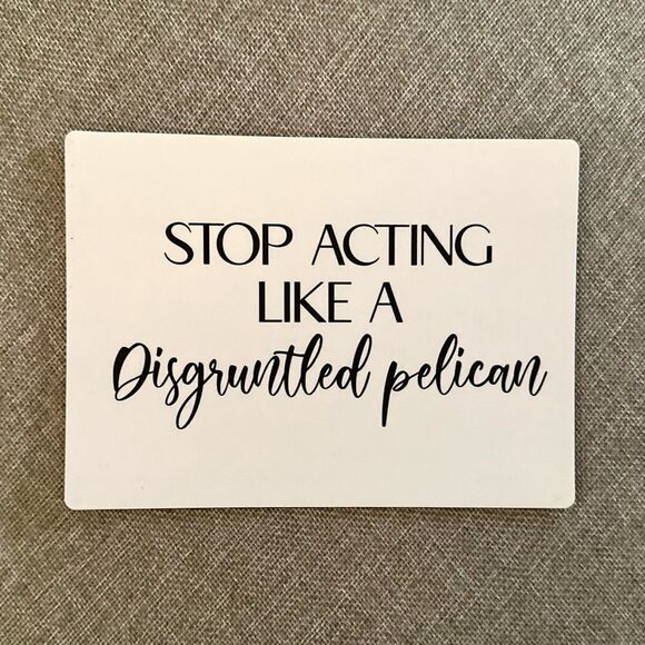 Stop Acting Like a Disgruntled Pelican Schitt’s Creek Magnet - Picture 1 of 3